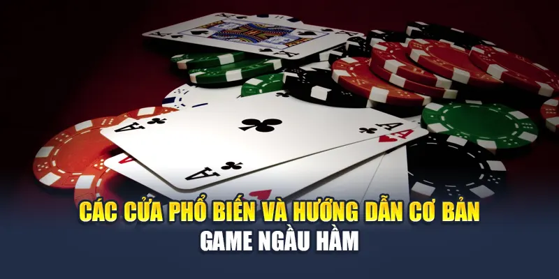 Các cửa phổ biến và hướng dẫn cơ bản game ngầu hầm 